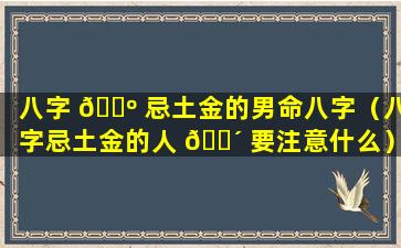 八字 🐺 忌土金的男命八字（八字忌土金的人 🌴 要注意什么）